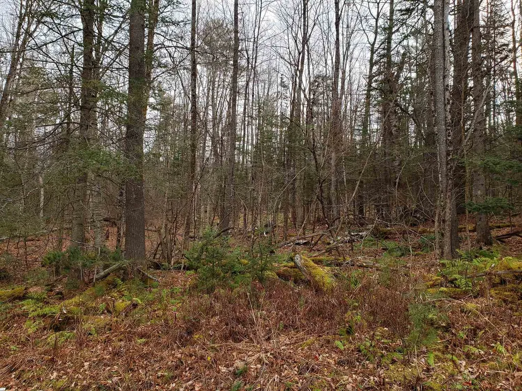 Lot 156 Deerfield Drive Haverhill NH 03785
