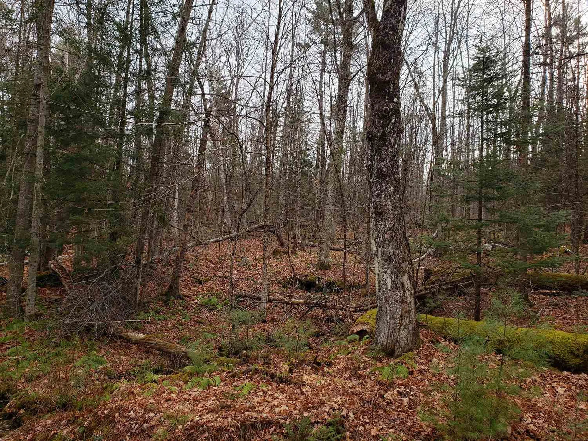 Lot 156 Deerfield Drive Haverhill NH 03785