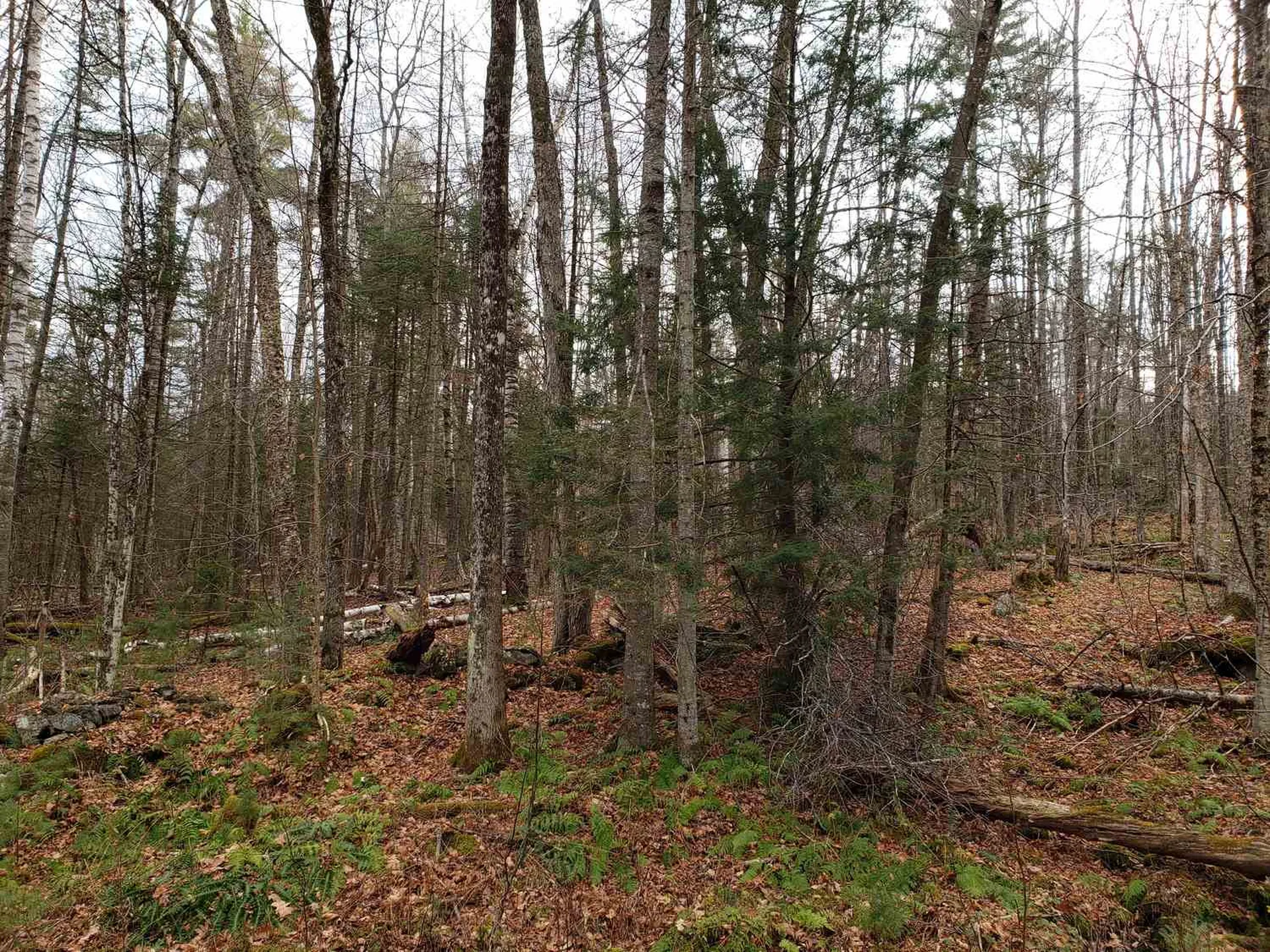 Lot 156 Deerfield Drive Haverhill NH 03785