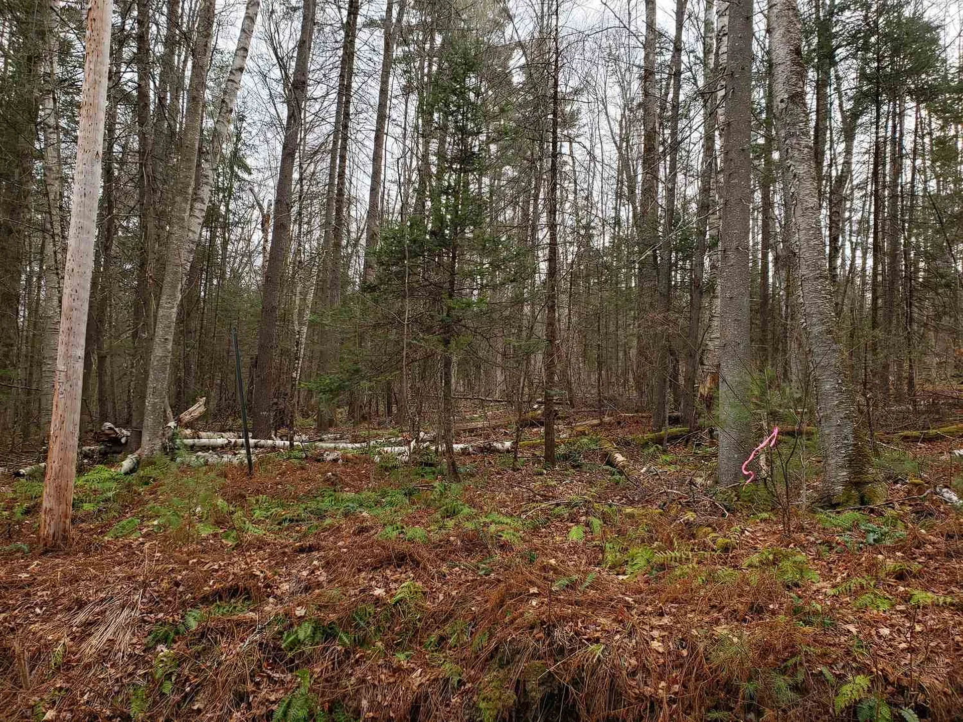 Lot 156 Deerfield Drive Haverhill NH 03785