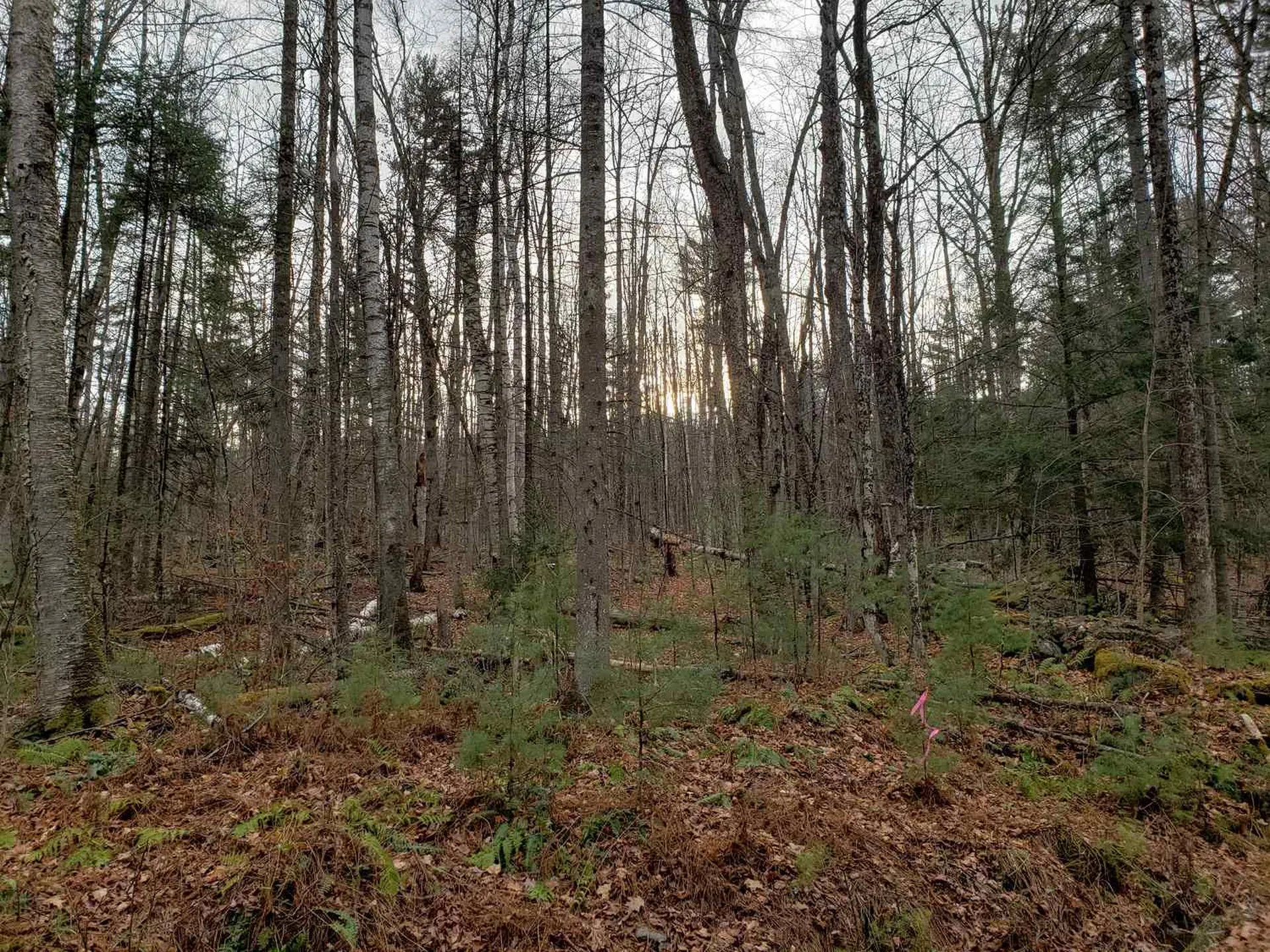 Lot 156 Deerfield Drive Haverhill NH 03785