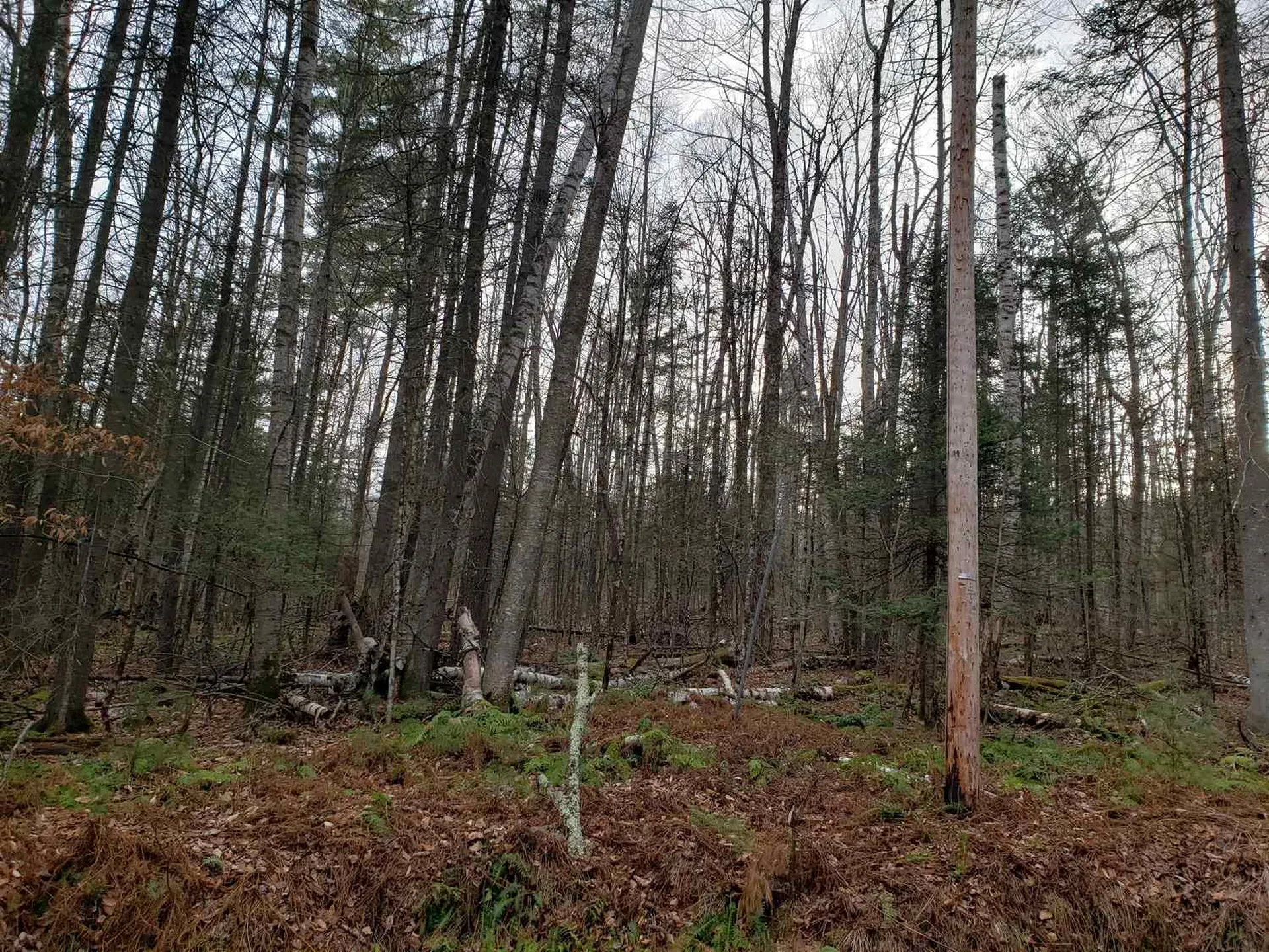 Lot 156 Deerfield Drive Haverhill NH 03785