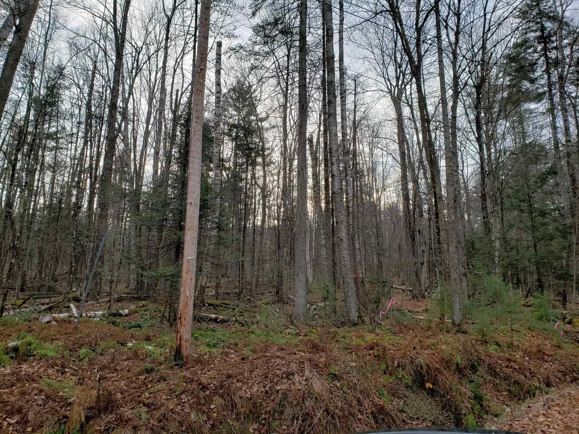 Lot 156 Deerfield Drive Haverhill NH 03785