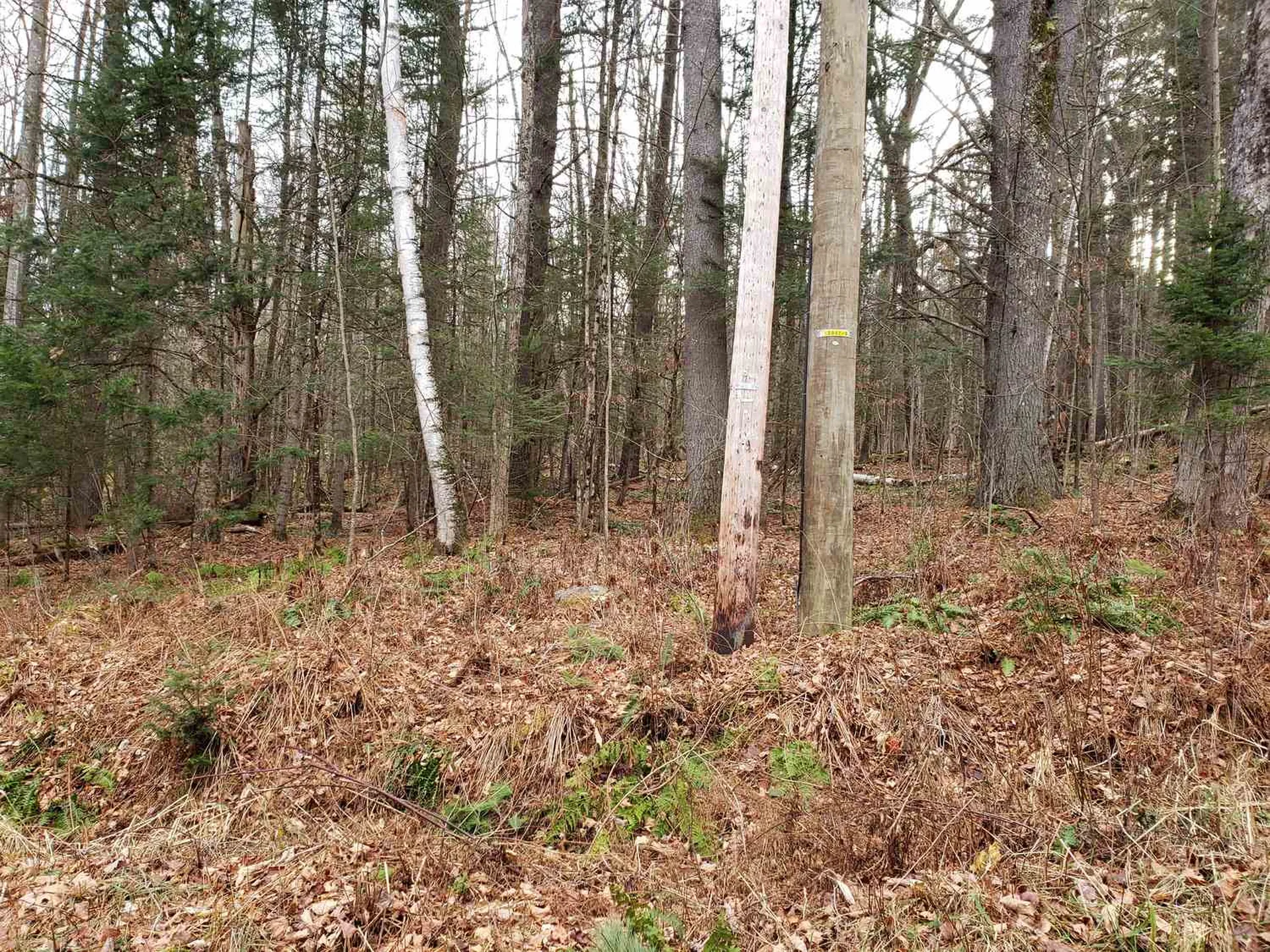 Lot 156 Deerfield Drive Haverhill NH 03785