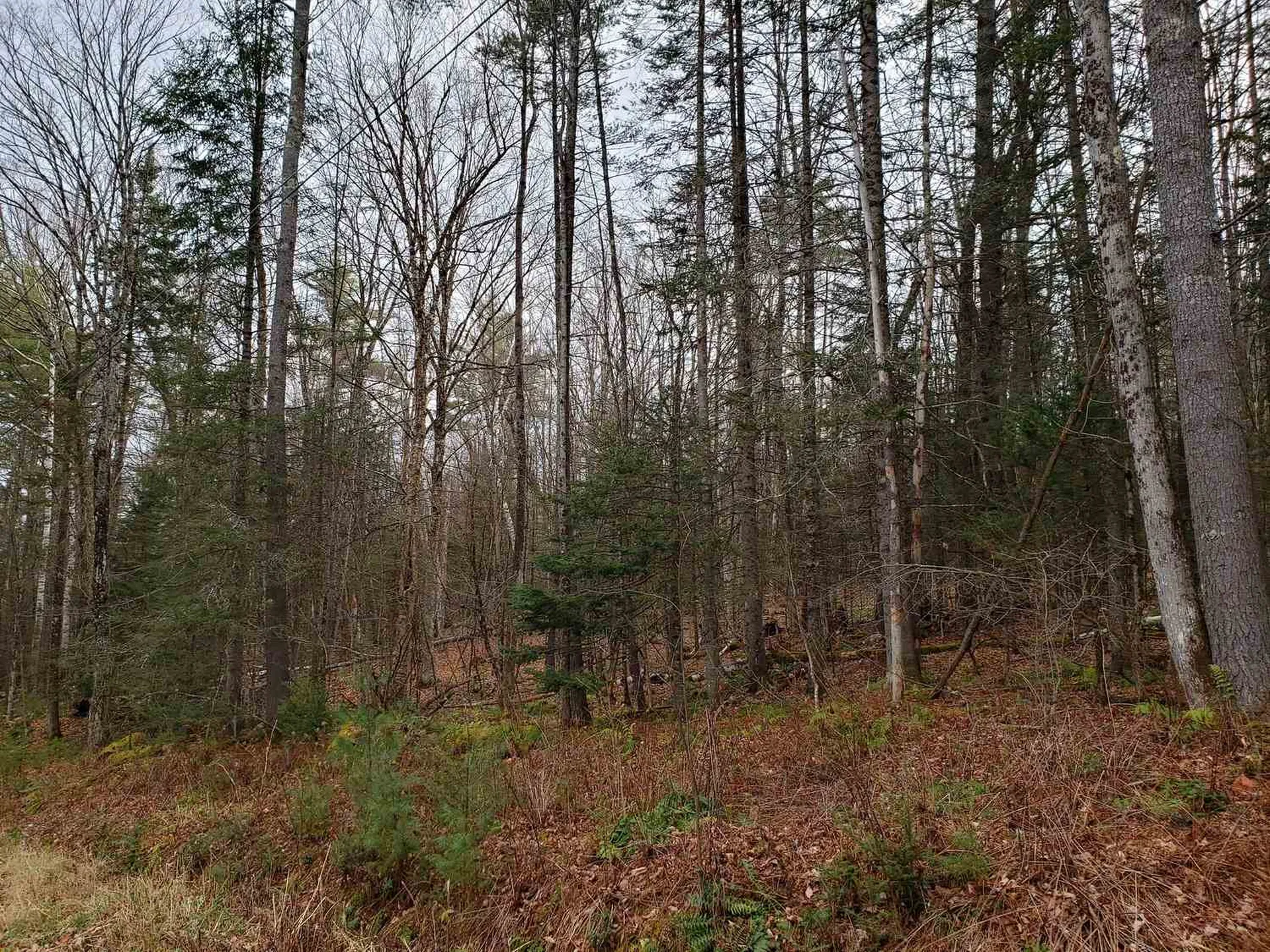 Lot 156 Deerfield Drive Haverhill NH 03785
