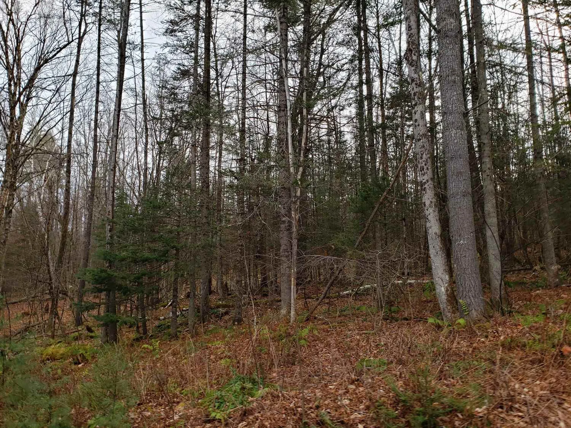 Lot 156 Deerfield Drive Haverhill NH 03785