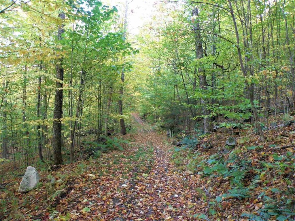0 Morgan Road Barnard VT 05031