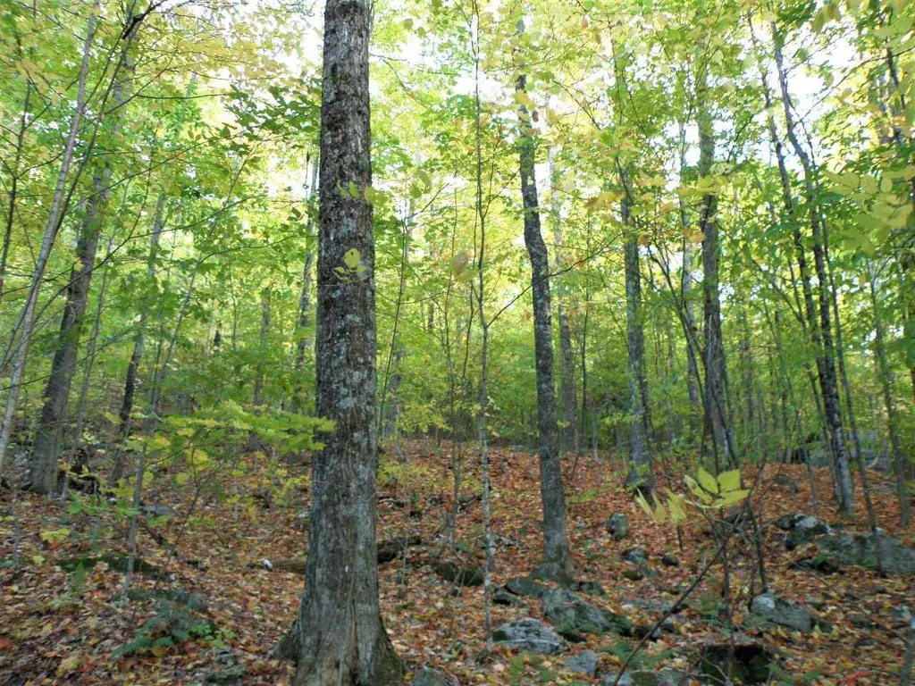 0 Morgan Road Barnard VT 05031