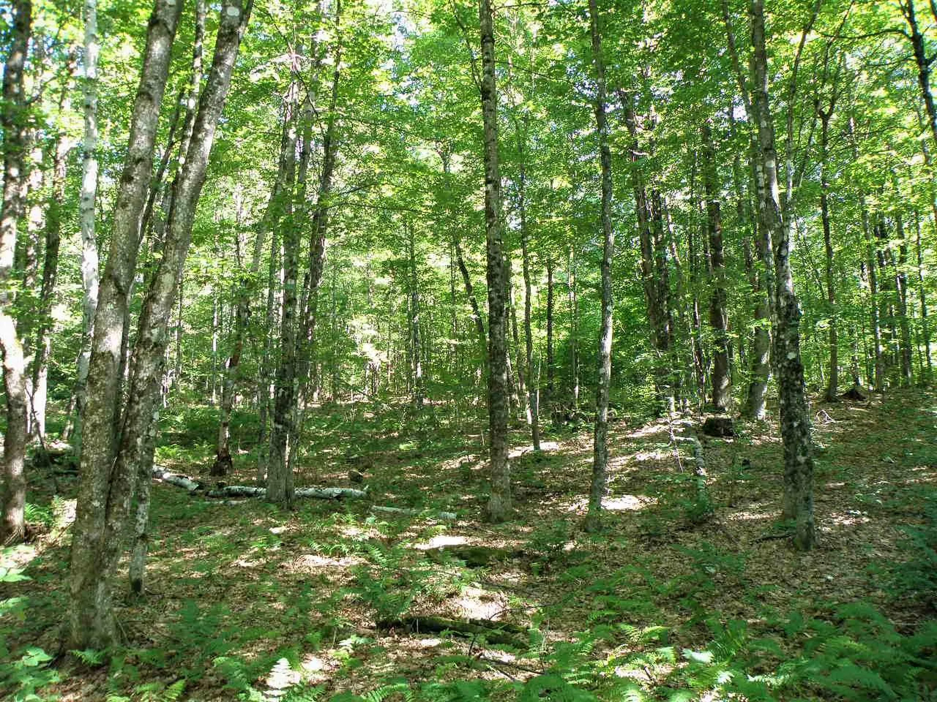 0 Morgan Road Barnard VT 05031