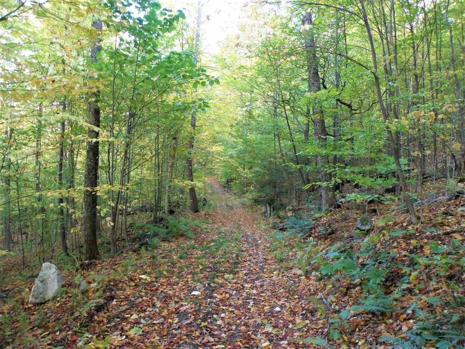 0 Morgan Road Barnard VT 05031