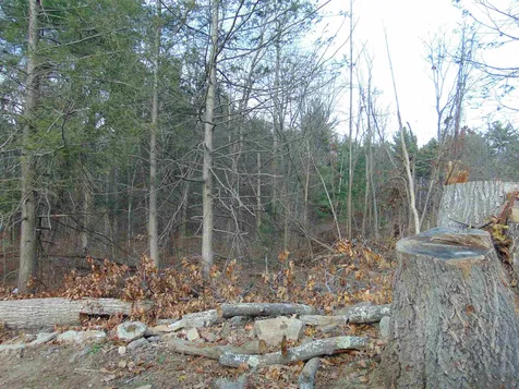 3 Loop Road Hudson NH 03051