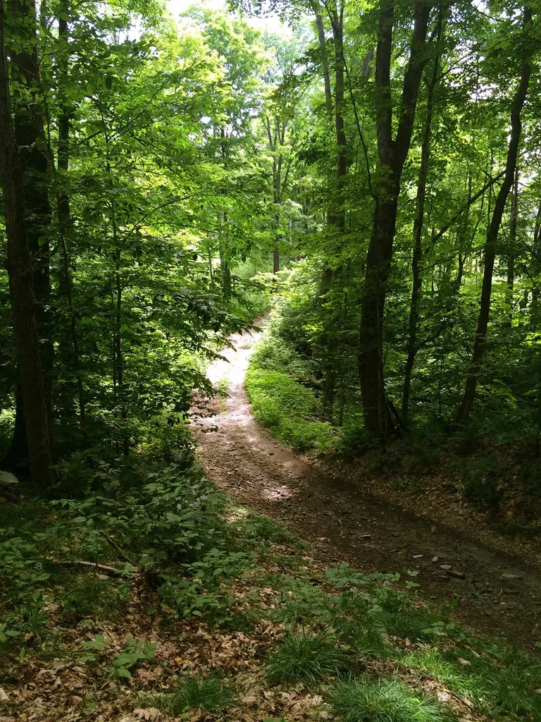 Joshua Road Norwich VT 05055