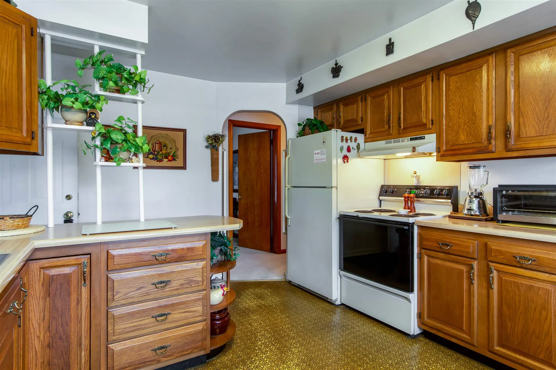 30 Linden Terrace Burlington VT 05401