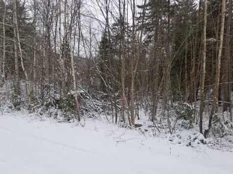 50 Blood Road Groton NH 03241