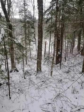 50 Blood Road Groton NH 03241