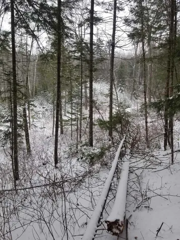 50 Blood Road Groton NH 03241