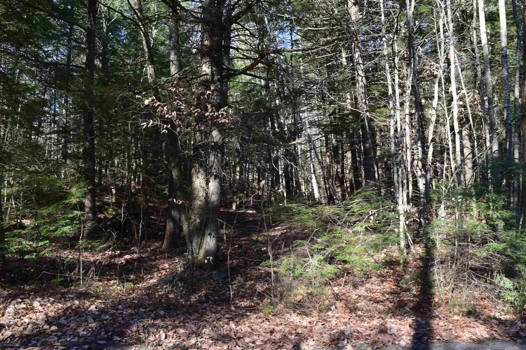 Lot 155 Bear Road Haverhill NH 03765