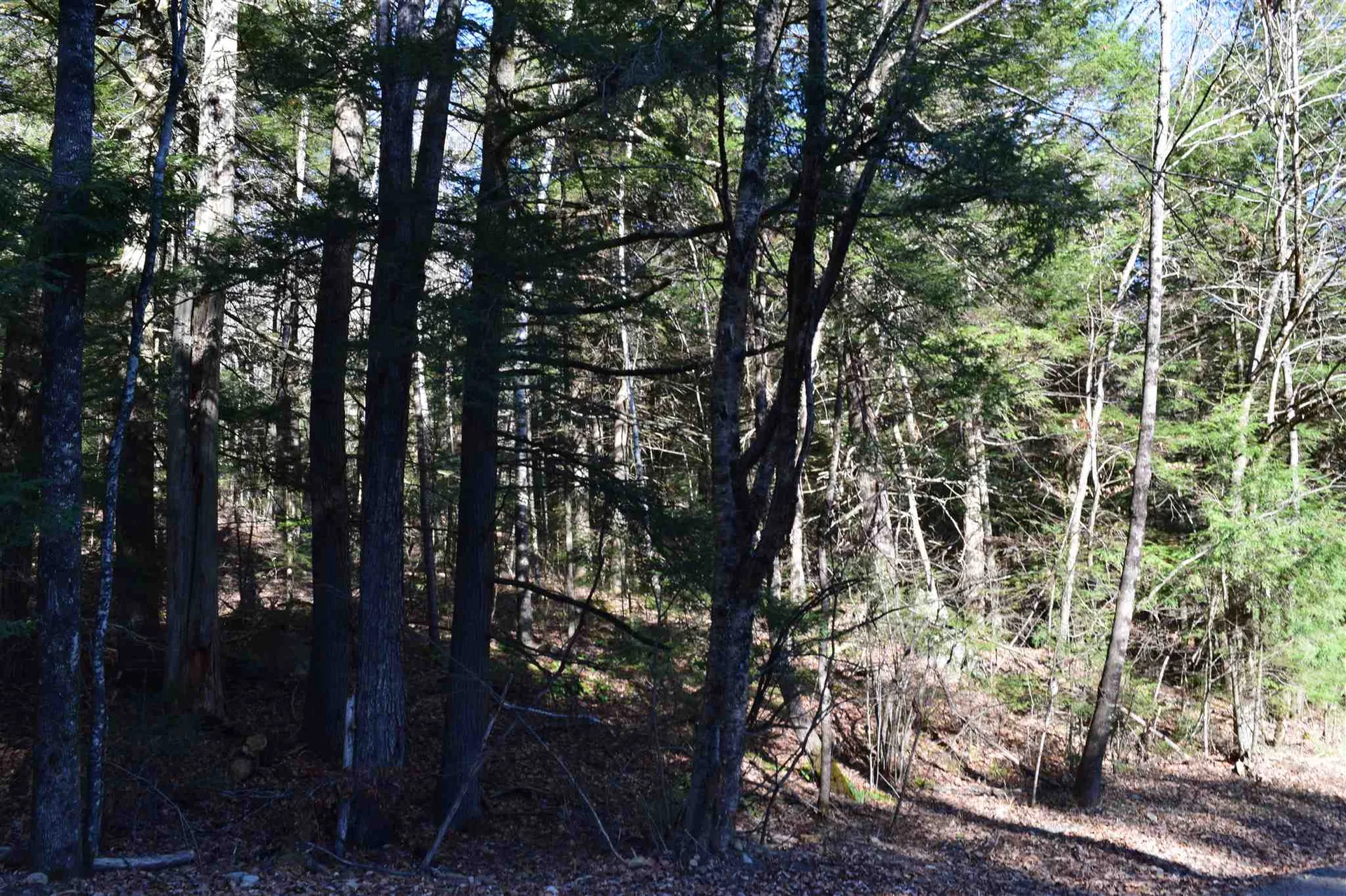 Lot 155 Bear Road Haverhill NH 03765
