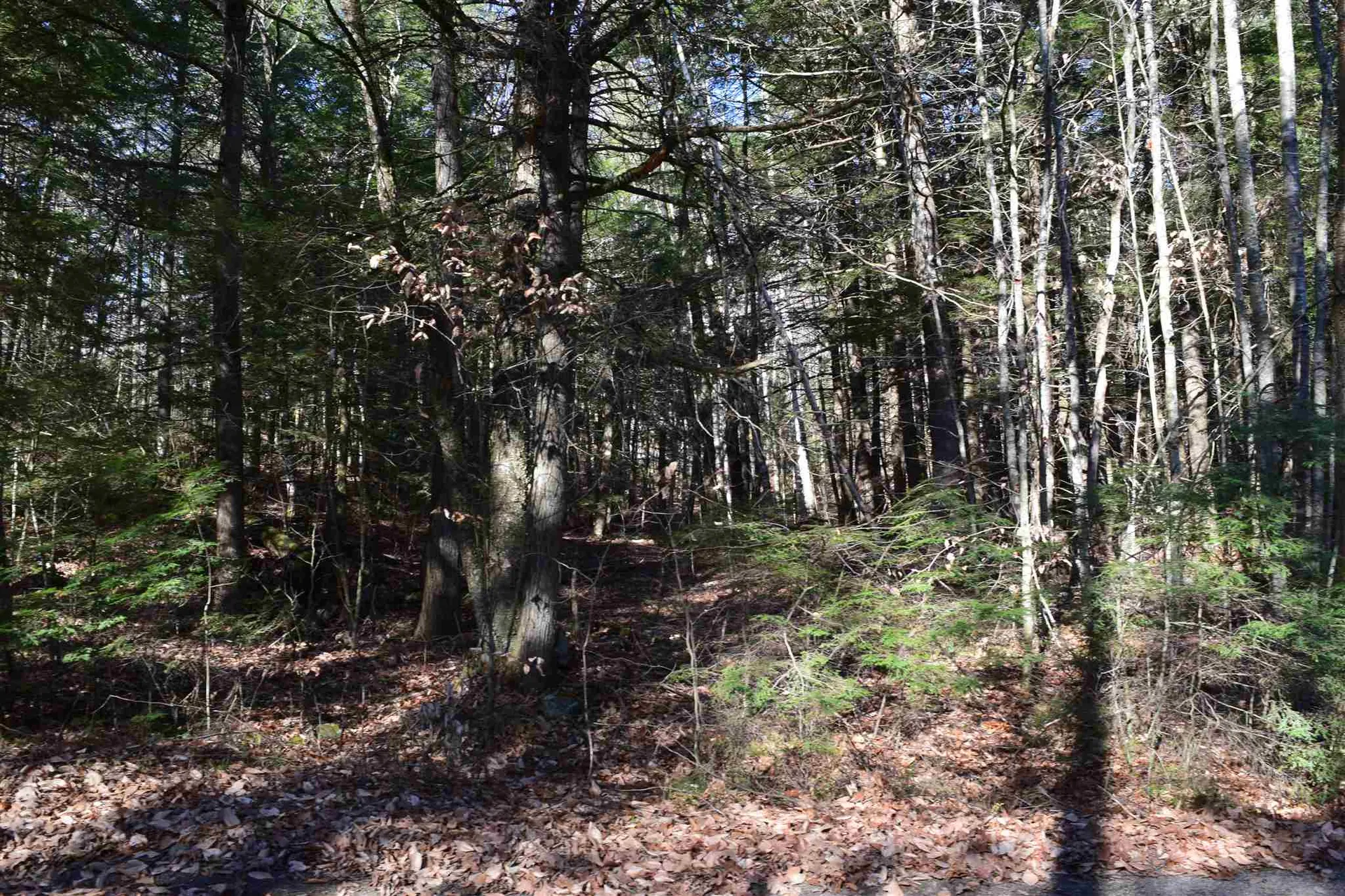 Lot 155 Bear Road Haverhill NH 03765