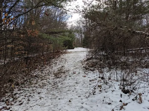 199 Maple Street Hopkinton NH 03229