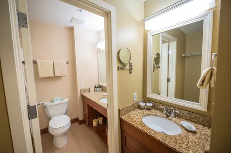 89 Grand Summit Way Dover VT 05356
