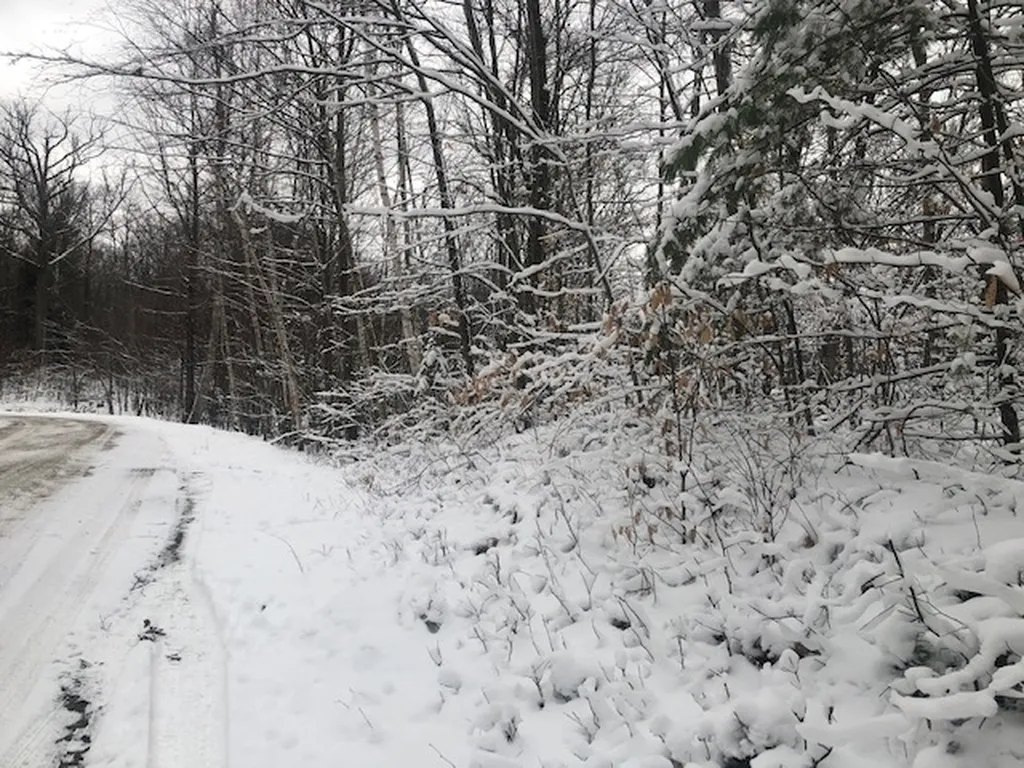 Haverhill Lane Haverhill NH 03765