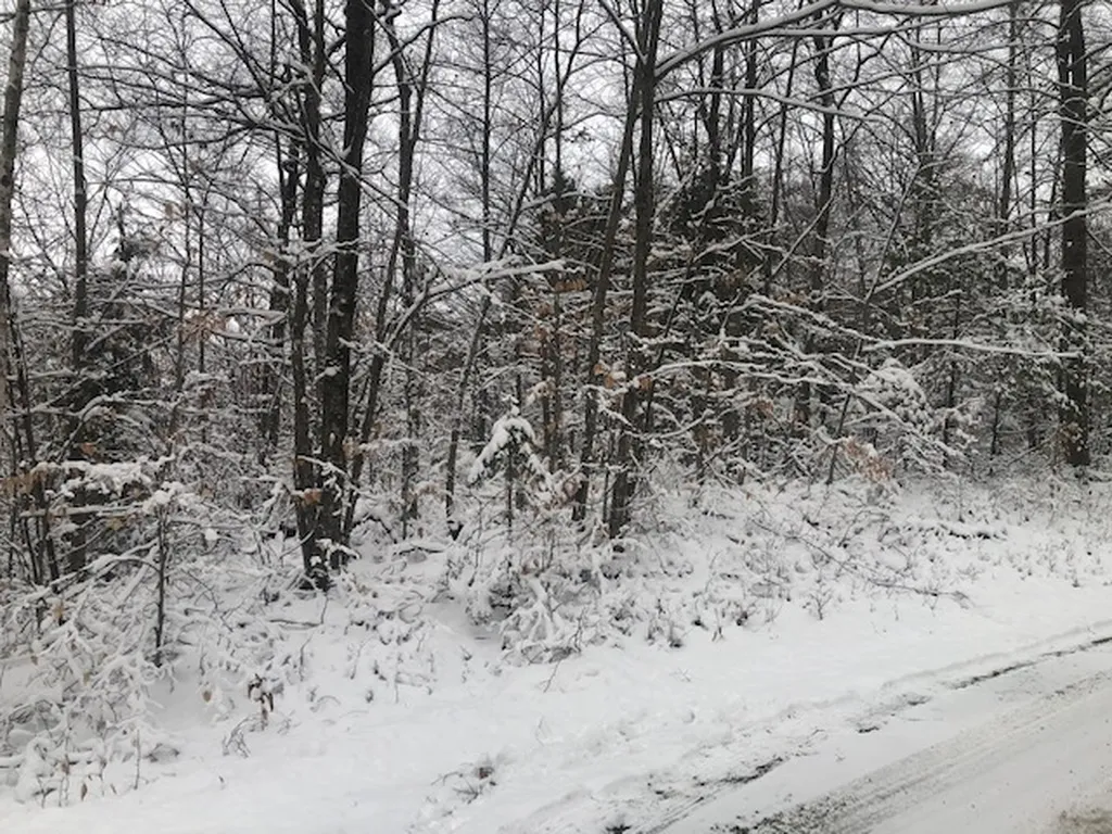 Haverhill Lane Haverhill NH 03765