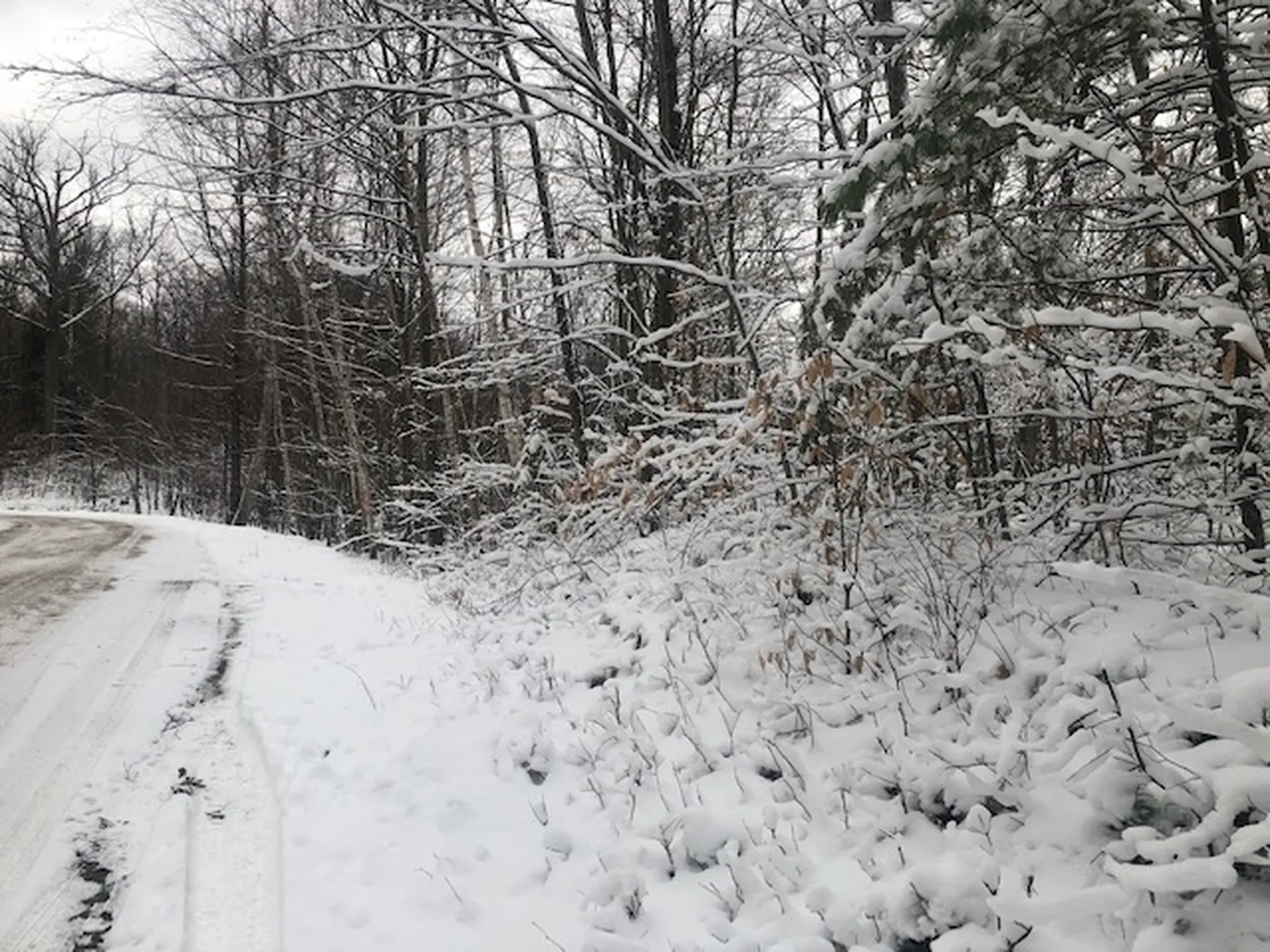 Haverhill Lane Haverhill NH 03765