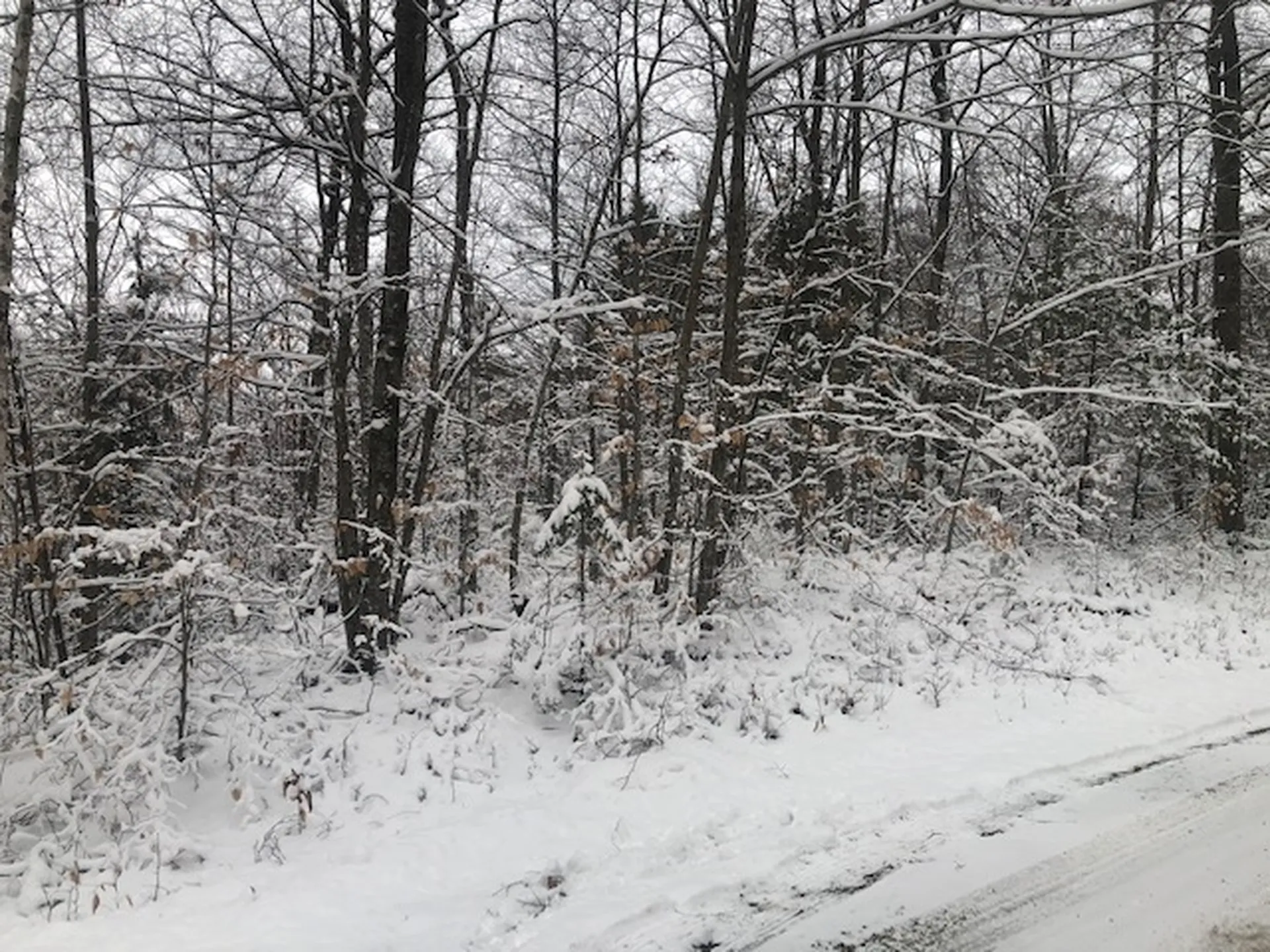 Haverhill Lane Haverhill NH 03765