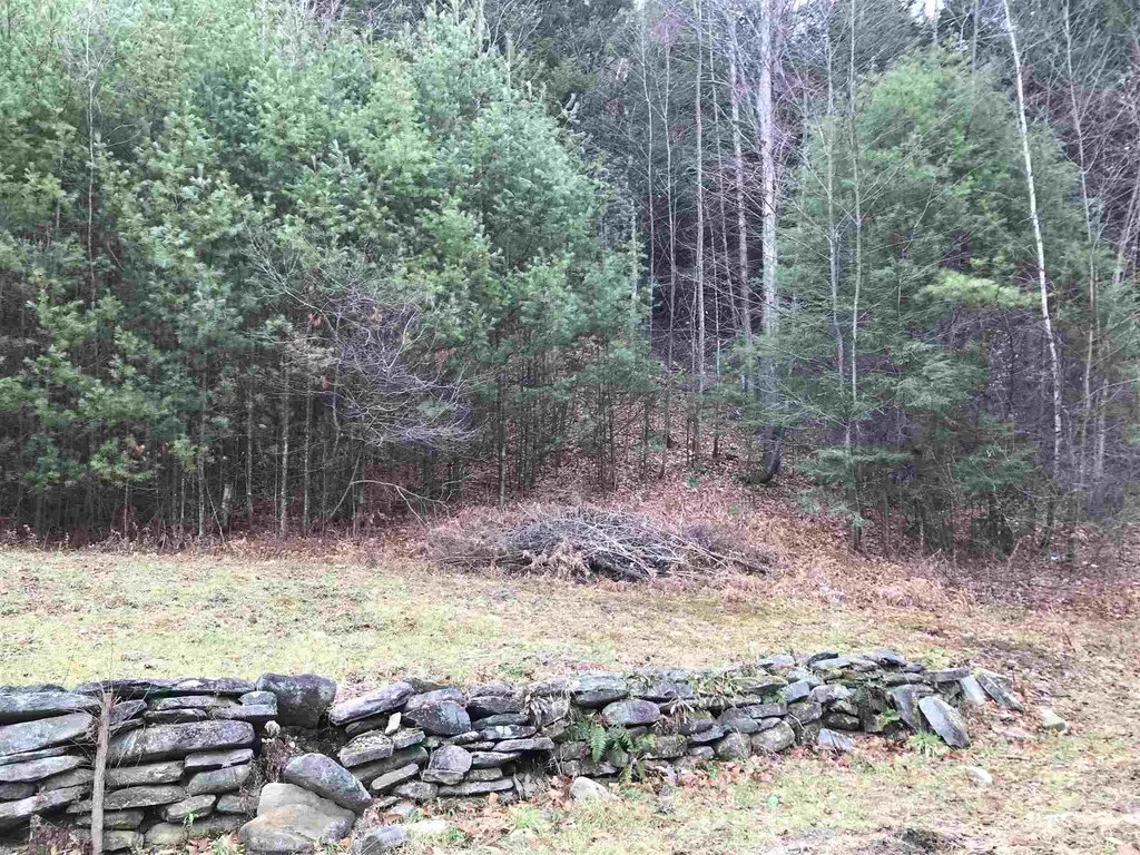398 Vt Route 30 Newfane VT 05345