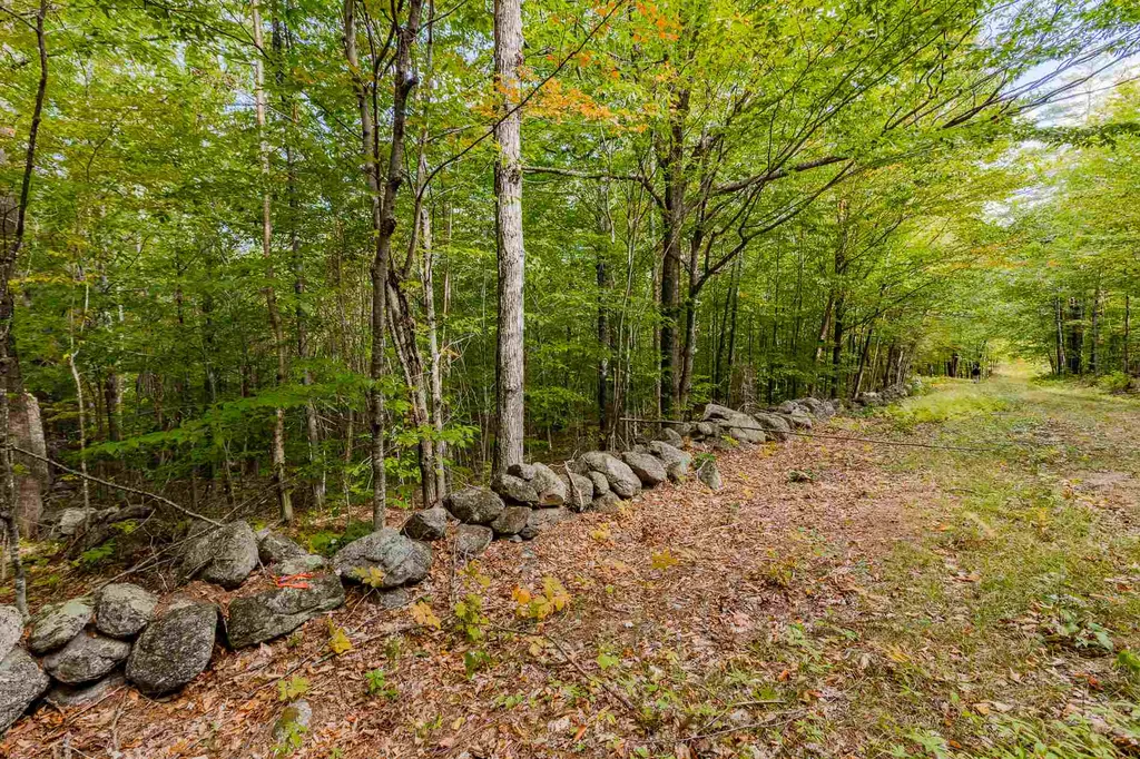 Lot 7 North Wilmot Road Wilmot NH 03287