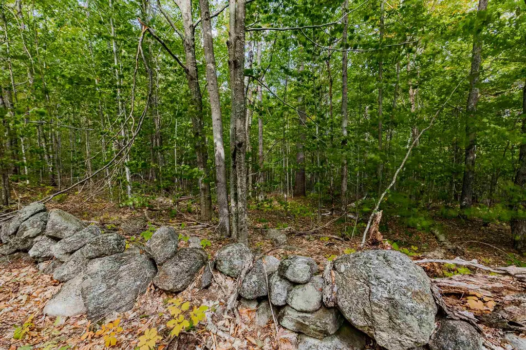 Lot 7 North Wilmot Road Wilmot NH 03287