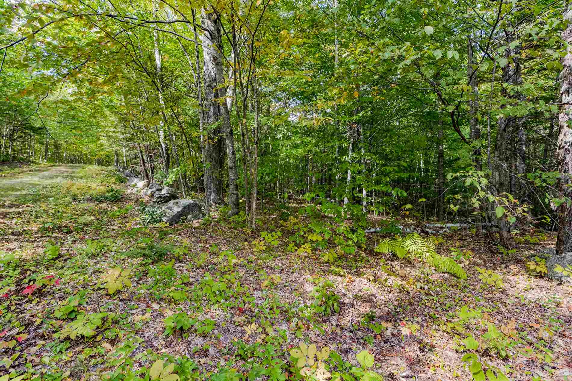 Lot 7 North Wilmot Road Wilmot NH 03287