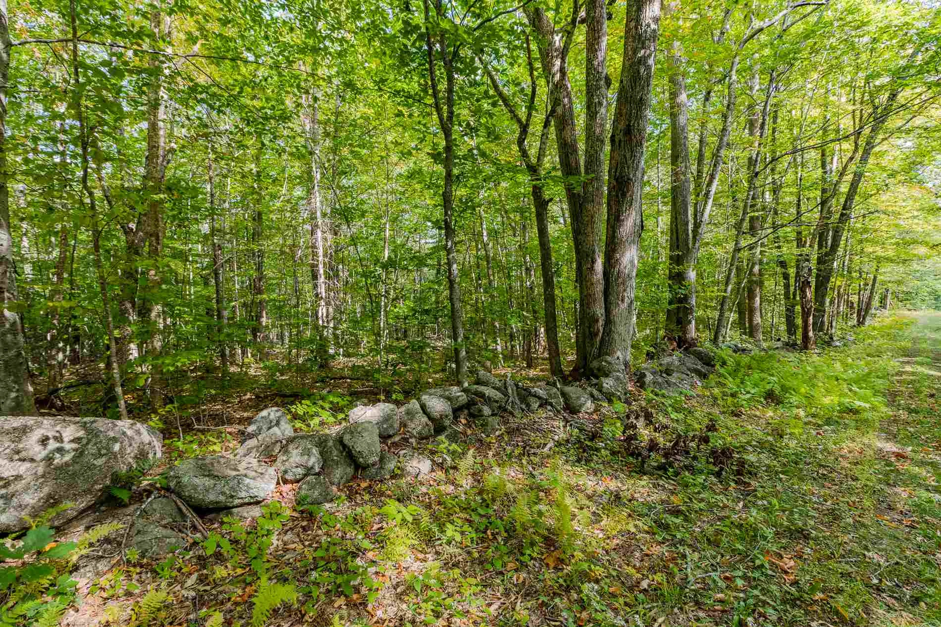 Lot 7 North Wilmot Road Wilmot NH 03287