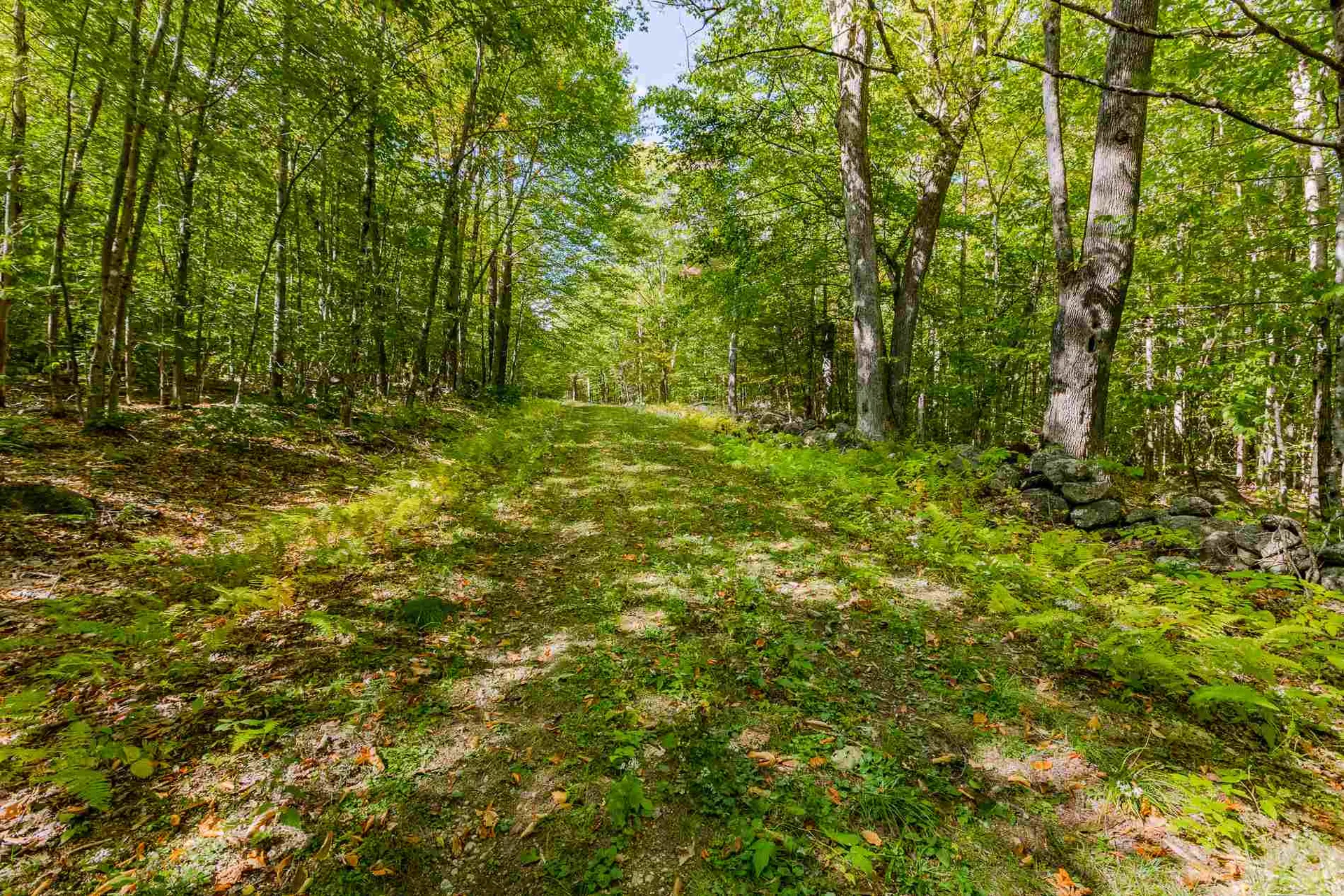 Lot 7 North Wilmot Road Wilmot NH 03287