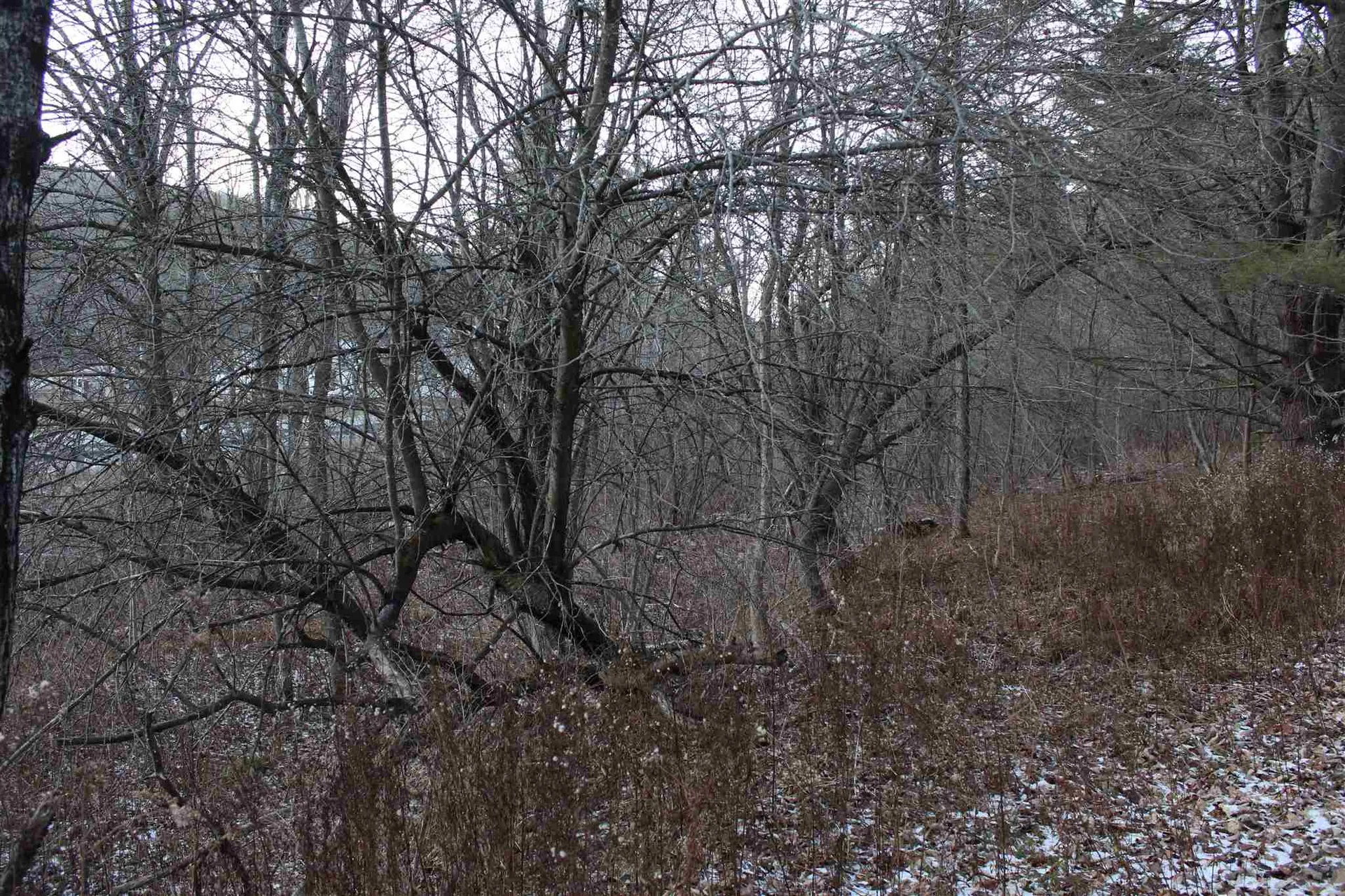 00 Vt Route 12 Barnard VT 05031