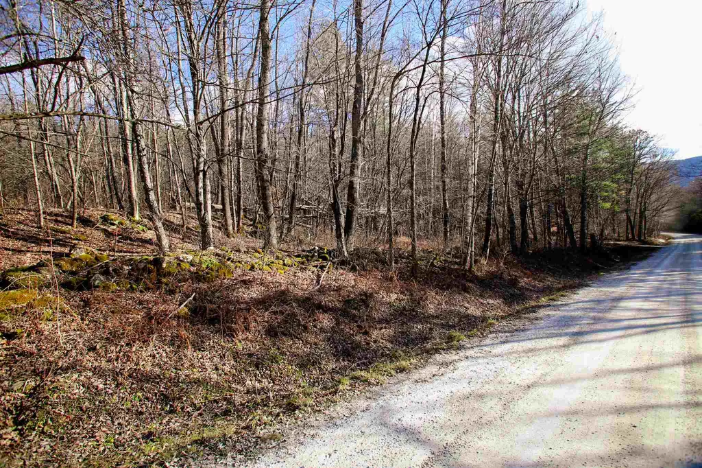 868 Maple Hill Rochester VT 05767