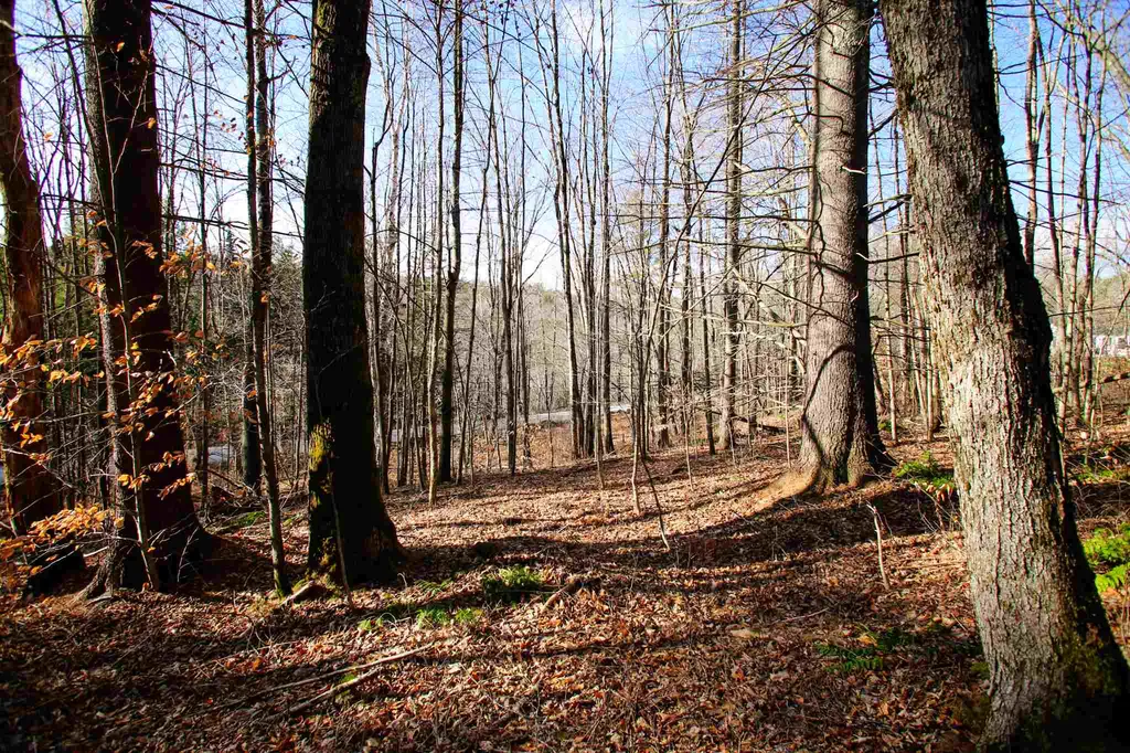 868 Maple Hill Rochester VT 05767