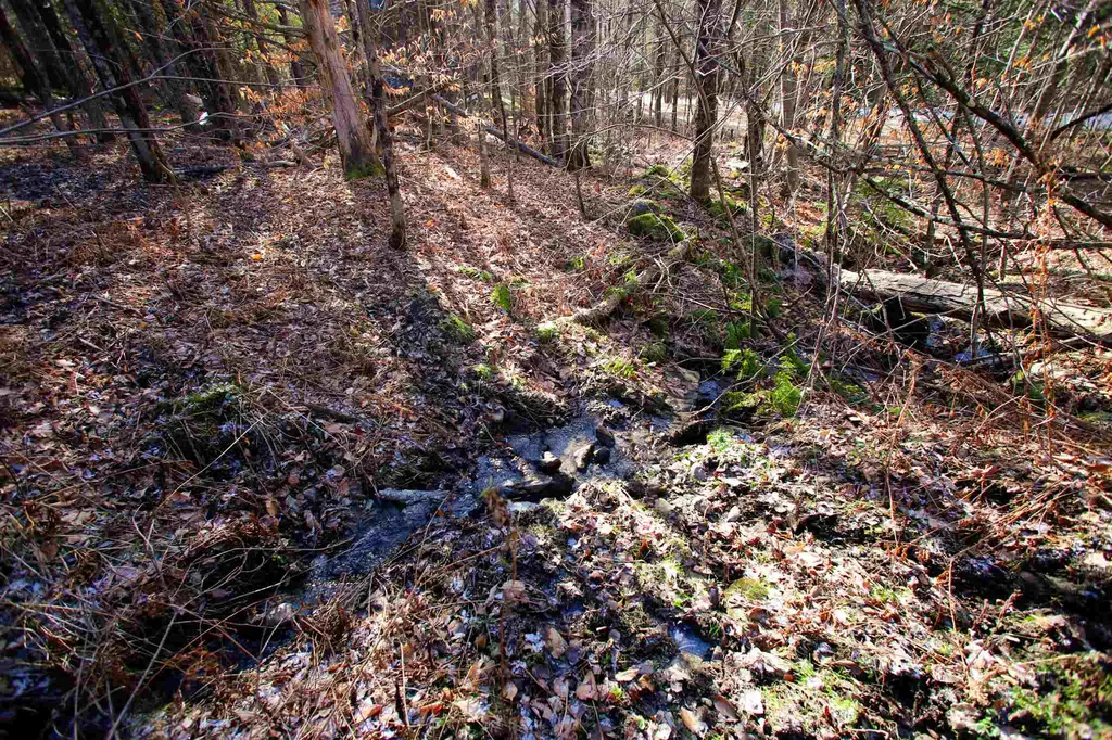 868 Maple Hill Rochester VT 05767