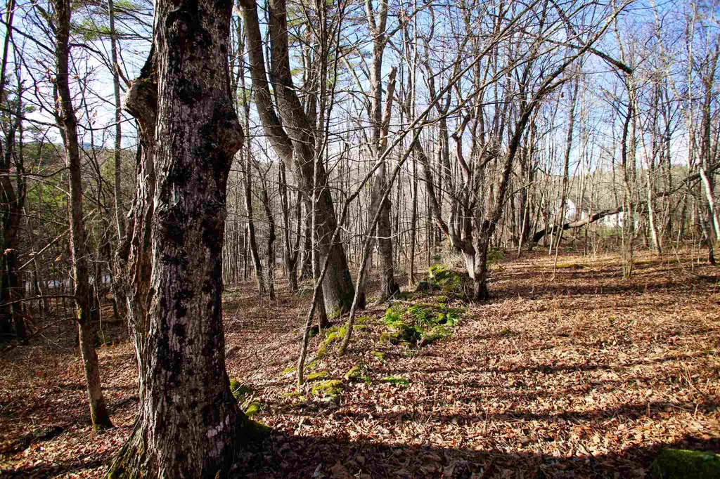 868 Maple Hill Rochester VT 05767