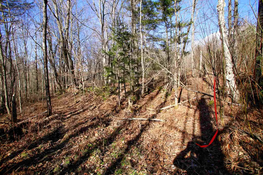 868 Maple Hill Rochester VT 05767