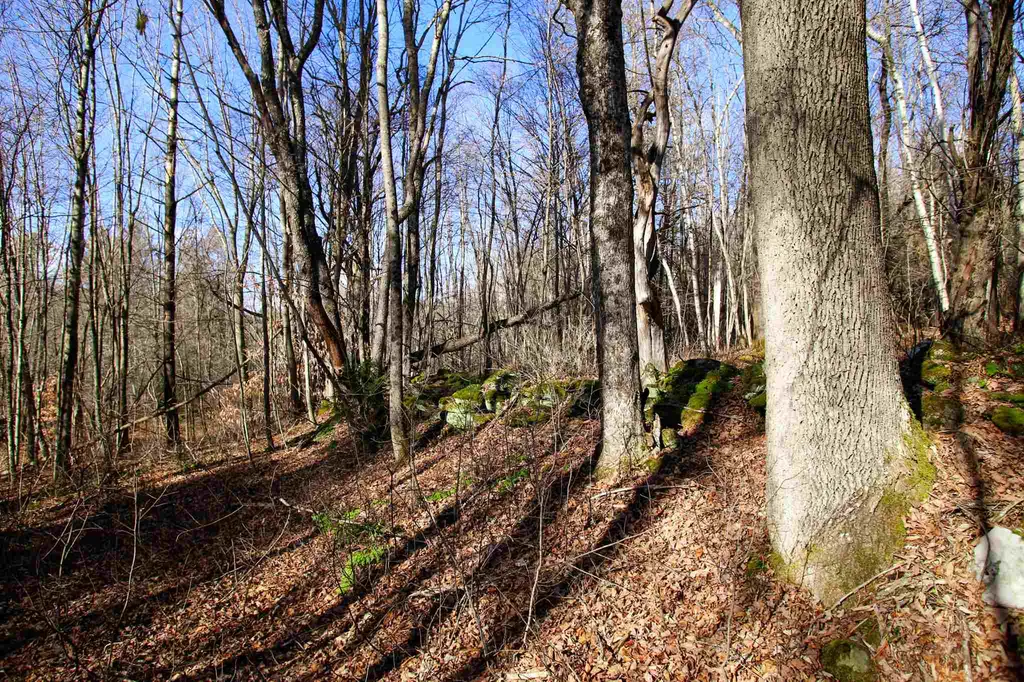 868 Maple Hill Rochester VT 05767