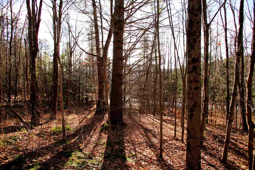 868 Maple Hill Rochester VT 05767