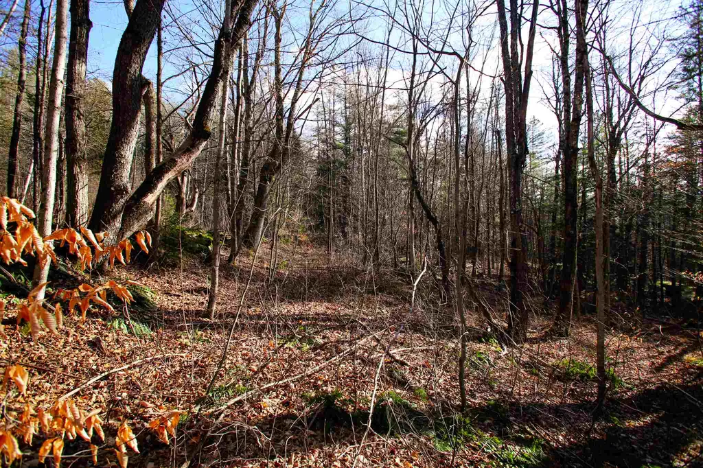 868 Maple Hill Rochester VT 05767