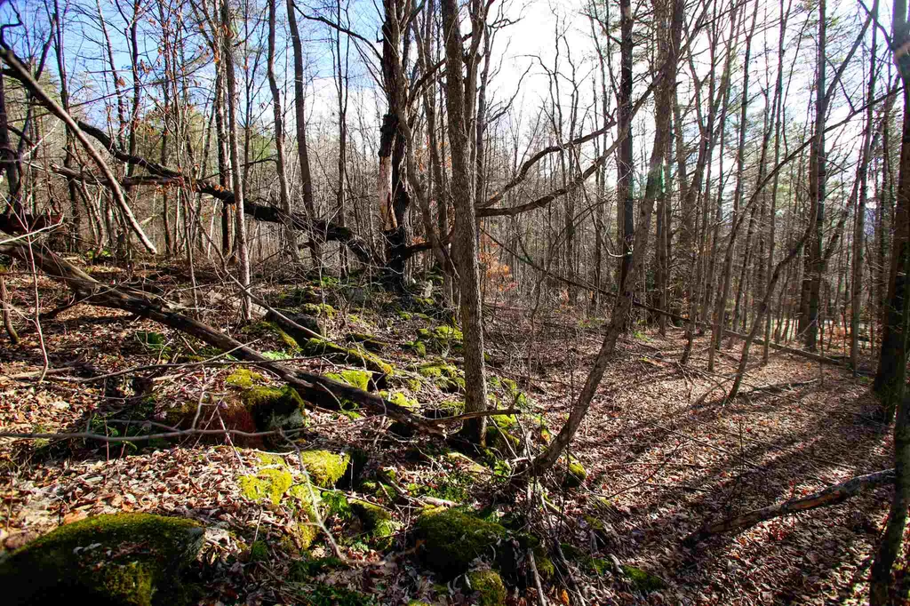 868 Maple Hill Rochester VT 05767