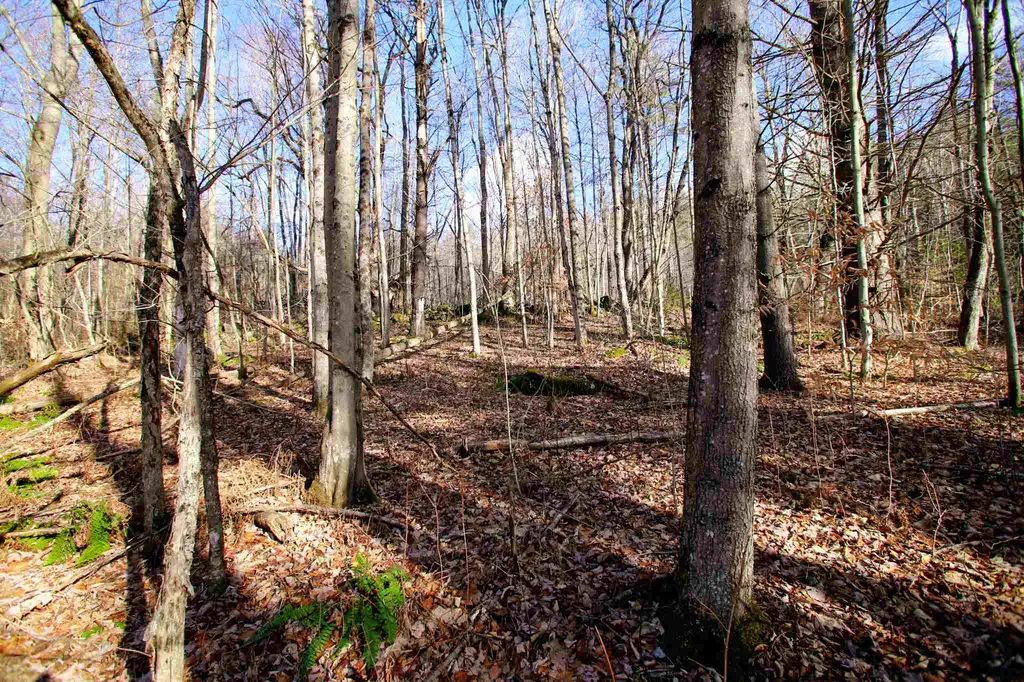 868 Maple Hill Rochester VT 05767