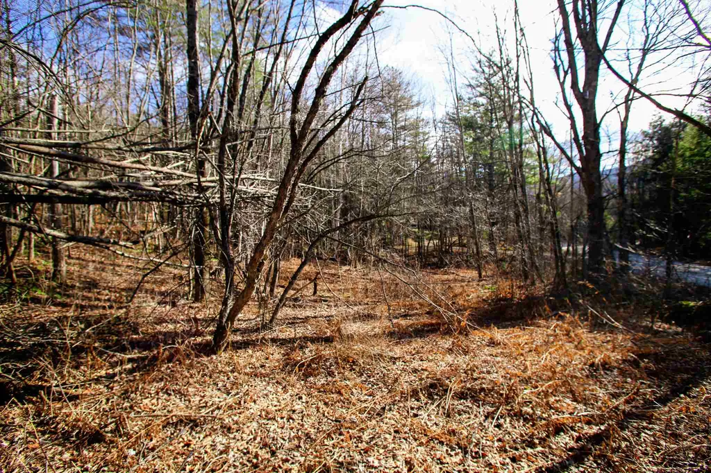 868 Maple Hill Rochester VT 05767