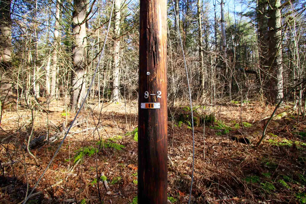 868 Maple Hill Rochester VT 05767