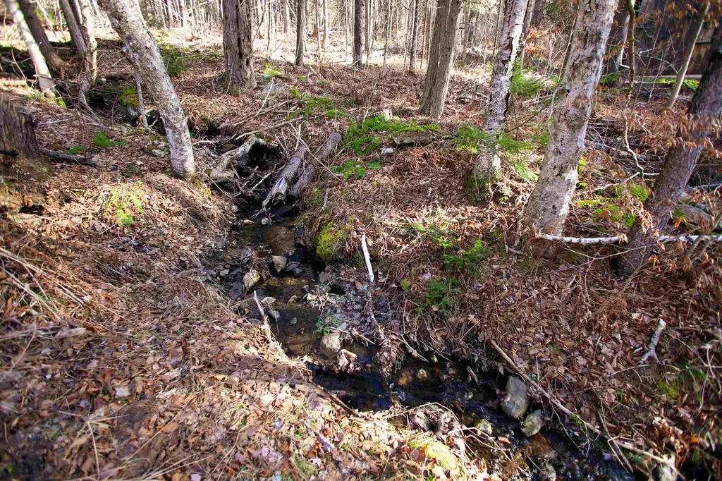 868 Maple Hill Rochester VT 05767