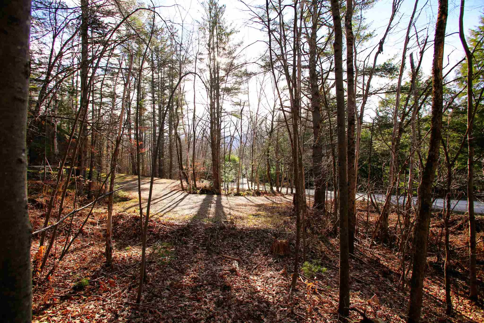 868 Maple Hill Rochester VT 05767